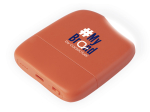 Batterie de secours Ice P